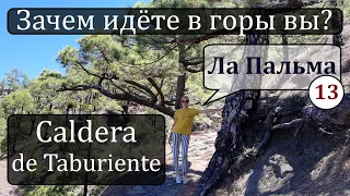 ЧУДО.Канарские острова. Остров Ла ПАЛЬМА.Caldera de Taburiente. Достопримечательности.