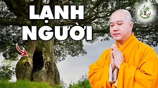 GIẢI ĐÁP RẤT HAY Về Chuyện Vong Linh Trú Ngụ - Vấn Đáp Thầy Thích Pháp Hòa