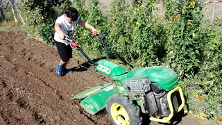 Preparazione del terreno con motocoltivatore Ferrari 330 per la semina dei broccoletti cime di rapa