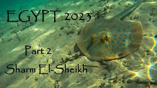 Egypt 2023 Part 2 Sharm El Sheikh