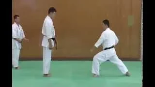 1 Bunkai Kumite Pin an Sono Ichi Gedan Barai