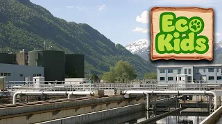 How it works: Water Treatment | Eco-Kids (20-Minute Documentary on Earth for Kids!)