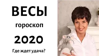 ВЕСЫ гороскоп на 2020 год / ГДЕ ЖДЕТ УДАЧА? / гадание на 2020 год  от Елена Саламандра