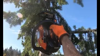 OLD SCHOOL TREE CLIMBING TECHNIQUES, TALL TREE PRUNING