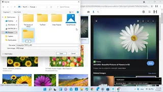 How to download an image using google chrome in windows 11 laptop