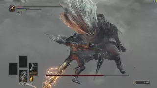 [Dark Souls 3] Dragonslayer Great Axe vs Nameless King (Lv88 Str build)