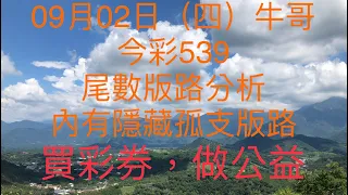 今彩539｜牛哥539｜2021年09月02日（四）今彩539尾數版路分析內含隱藏版路（🎉恭喜上期尾數版路：7尾，孤支版路：07，順利開出🎉）