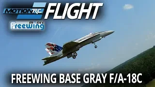 Redemption Flight! - Freewing F/A-18C Custom Base Gray 90mm EDF Jet - Motion RC