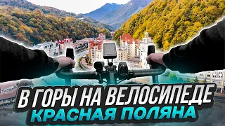 Сочи. 🚵На велосипеде в горы🌄  Из Сириуса в Красную Поляну. Синдром Сметкина