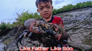 Amazing...! Little Boy Vs King Crab