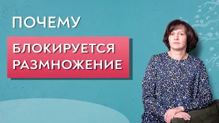 Духовные причины бесплодия.