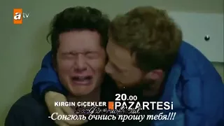 обиженные цветы 113