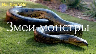 Nat Geo Wild. Змеи-монстры.