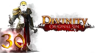 Divinity: Original Sin Enhanced Edition - Тактический первый раз - Прохождение #30