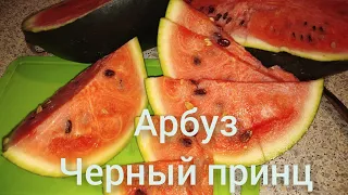 Арбуз "Черный принц" для хранения.👆🍉👌