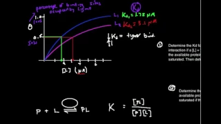 Graphical Estimation of Kd from P:L Binding Plot