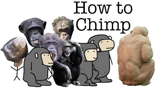 Your Life as a Chimp