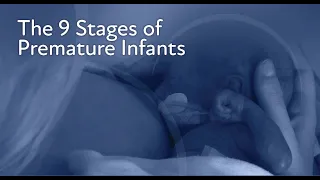 The 9 Stages of Premature Infants - TRAILER