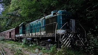 Haunted Train Hidden In The Mountains (We Were Not Alone)