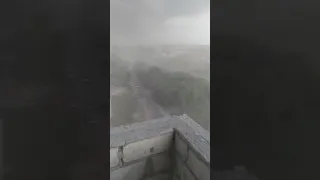 Димитровград. Ураган валит столбы и дерево