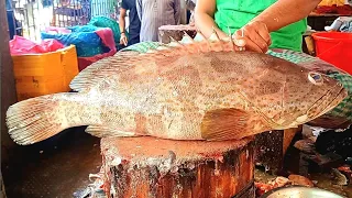 Amazing Cutting Skills - Giant Grouper Fish Cutting By Expert Fish Cutter