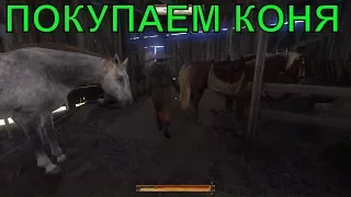 🔴где купить лошадь [ГАЙД] Kingdom Come: Deliverance