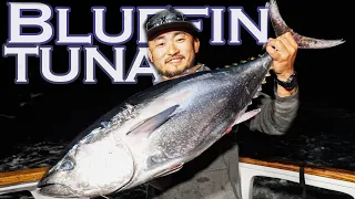 A DREAM TRIP For Bluefin Tuna