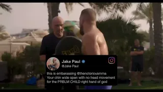 Conor McGregor responds to Jake Paul " Jackass "