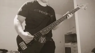 TOOL - Swamp Song (bass cover)