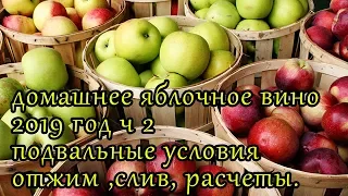 домашнее яблочное вино в подвальных условиях2019 ч2