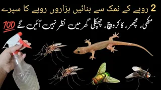 Get rid of mouse, Mosquito, Flies, lizard with homemade spray I powerful insects killer remedy