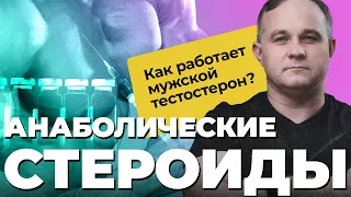 АНАБОЛИЧЕСКИЕ СТЕРОИДЫ. Как повысить тестостерон? Как влияют на организм анаболики и стероиды?