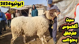 الله سوق سبت أكلموس طرطق بحوالى وخروفة تالعيد 2024/06/01 وثمن مرتفع