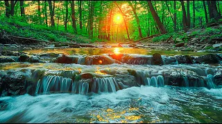Listen to relaxing music - Soothing music calms the nervous system and refreshes the soul #5
