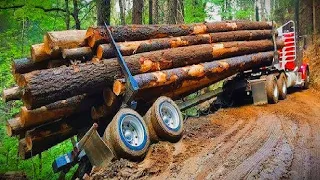 Dangerous Wood Truck Driving Skill Heavy Equipment Machines Working