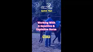 Quick Tips On Working With A Sensitive & Explosive Horse! Part 9 | The Horse Guru - Michael Gascon