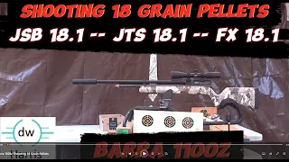Barra 1100z PCP 22 Caliber Shooting 18 Grain Pellets JSB, JTS and FX. .