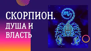 Кто такие Скорпионы? Неужели это самые вредные люди на Земле?