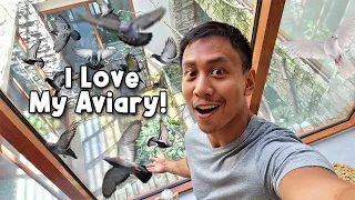 Life With a 3-Storey Aviary in the Middle of the House | Vlog #1644