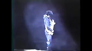 Prince  -  Live in Pittsburgh 1988