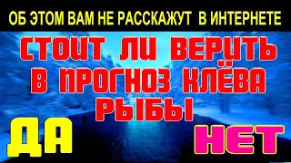 ВСЯ ПРАВДА про Прогноз Клёва Рыбы  Стоит ли этому верить ДА или НЕТ