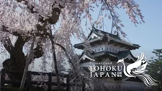 東北の桜の流れ 4K (Ultra HD) - 東北の春