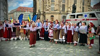 ОЙ, У ЛУЗІ ЧЕРВОНА КАЛИНА | УКРАЇНСЬКИЙ ХОР ВОЛЯ | UKRAINIAN CHOIR VOLIA | DRESDEN 11.05.2024