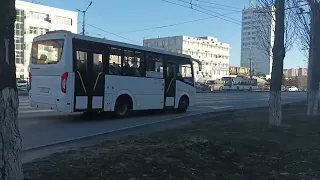 🚌"Пазик нового поколения"| автобус паз вектор некст🚌