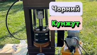 How to Make olive oil Чорний кунжут олія холодного віджиму по рахунку ✅19 культура‼️olive oil press