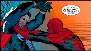 Punisher Messes with the Wrong Spider-Man