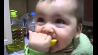 Babies Eating Lemons for the First Time  малыши едят лимон первый раз 0013