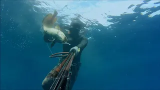 Spearfishing Croatia Mix 9