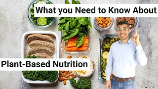 Plant-Based Nutrition, Easily Explained! (Integrative Nutrition|Registered Dietitian)