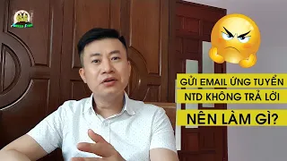 Gửi email ứng tuyển nhưng nhà Tuyển dụng không trả lời thì nên làm gì? Email ứng tuyển l Duy Đông HR